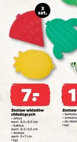 Netto Wkłady chłodzące ananas oferta