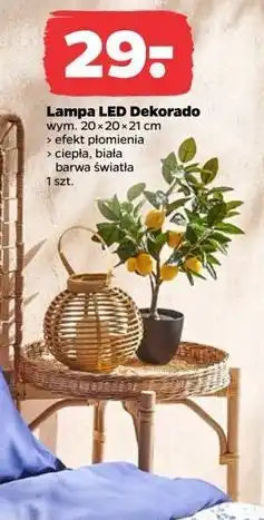 Netto Lampka dekoracyjna led 20 x 21 cm Dekorado oferta