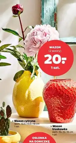 Netto Wazon w cytryny 18 cm oferta
