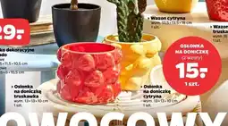 Netto Osłonka na doniczkę 13 x 10 cm cytryna oferta
