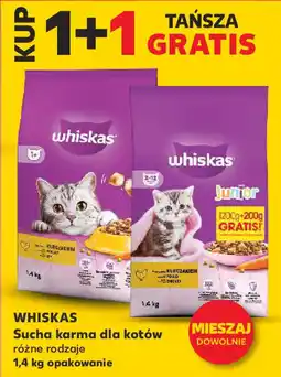 Kaufland Whiskas sucha karma dla kotów oferta
