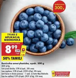 Biedronka Borówki amerykańskie oferta