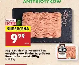 Biedronka Mięso mielone z kurczaka Kraina Mięs Select oferta