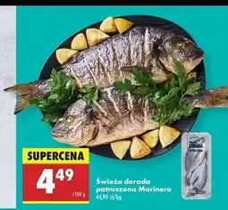 Biedronka Dorada patroszona świeża Marinero oferta