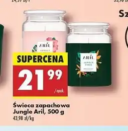 Biedronka Świeca zapachowa w słoiku jungle vibes Aril Wild oferta