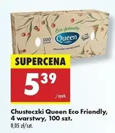 Biedronka Chusteczki higieniczne eco firendly Queen oferta