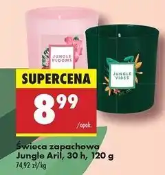 Biedronka Świeca zapachowa w słoiku jungle vibes Aril oferta