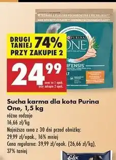 Biedronka Karma dla kota adult kurczak i pełne ziarna Purina One oferta