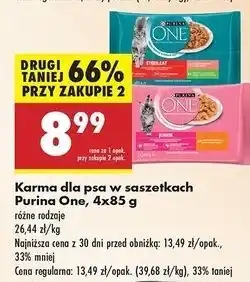 Biedronka Karma dla kota junior z kurczakiem i marchewką Purina One oferta