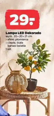 Netto Lampa LED Dekorado oferta