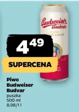 Netto Piwo BUDWEISER BUDVAR oferta