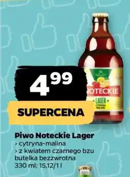 Netto Piwo Noteckie Lager oferta