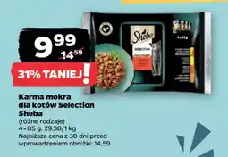 Netto Karma mokra dla kotów Selection Sheba oferta