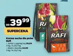 Netto Karma sucha dla psów Rafi oferta