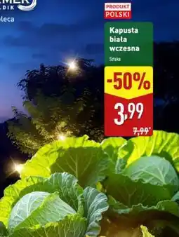 ALDI Kapusta biała wczesna oferta