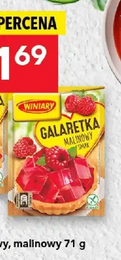 Lewiatan Galaretka malinowa Winiary oferta