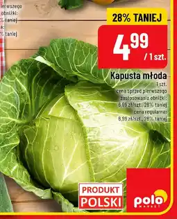 Polomarket Kapusta młoda POLOmarket oferta