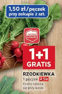 Stokrotka Rzodkiewka - 1 pęczek Stokrotka oferta