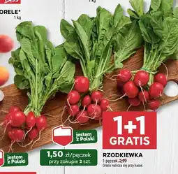 Stokrotka Rzodkiewka, pęczek 1+1 GRATIS Stokrotka oferta