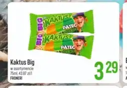 Livio Lody Kaktus oferta