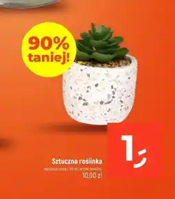 Dealz Sztuczna roślina oferta
