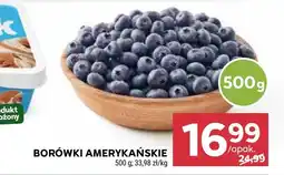 Stokrotka Borówki amerykańskie oferta