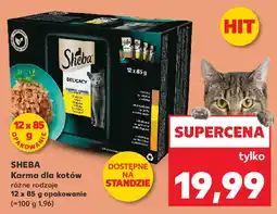 Kaufland Sheba karma dla kotów oferta