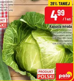Polomarket Kapusta młoda oferta