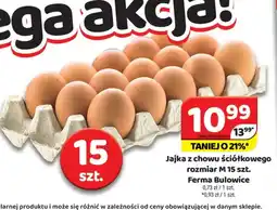 Delfin Jajka z chowu ściółkowego rozmiar M 15 szt. Ferma Bulowice oferta
