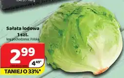 Delfin Sałata lodowa oferta