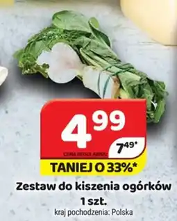 Delfin Zestaw do kiszenia ogórków oferta