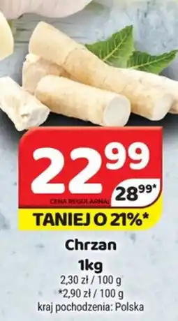 Delfin Chrzan oferta