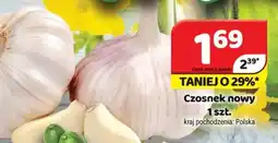 Delfin Czosnek nowy oferta