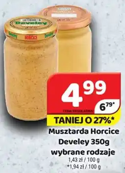 Delfin Musztarda Horcice Develey oferta