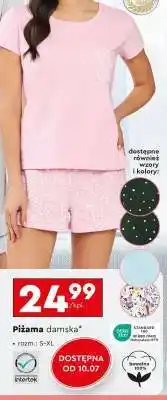 Biedronka Piżama damska oferta