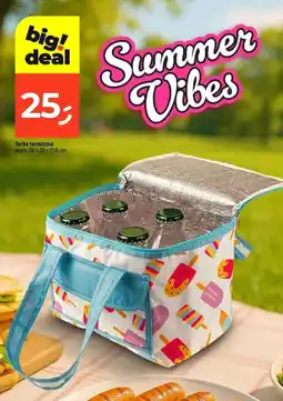 Dealz Torba termiczna oferta