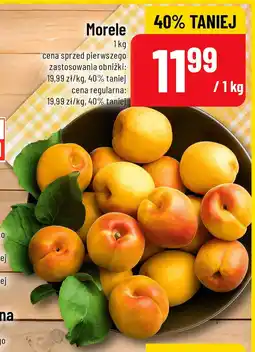 Polomarket Morele oferta