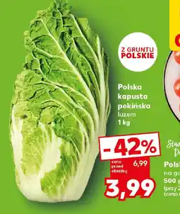 Kaufland Polska kapusta pekińska luzem oferta