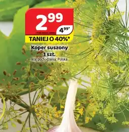 Delfin Koper suszony oferta
