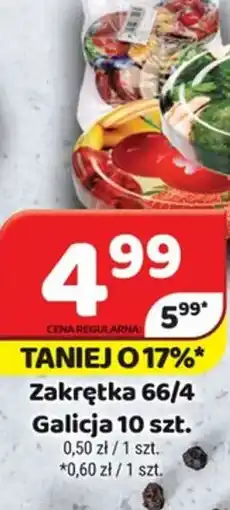 Delfin Zakrętka 66/4 Galicja oferta