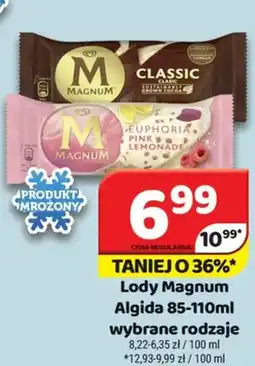 Delfin Lody Magnum Algida oferta