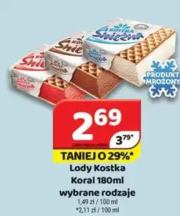 Delfin Lody Kostka Koral oferta