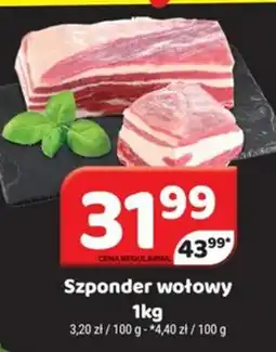 Delfin Szponder wołowy oferta