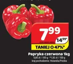 Delfin Papryka czerwona oferta