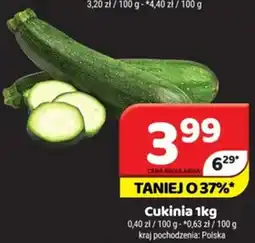 Delfin Cukinia oferta