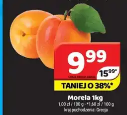 Delfin Morela oferta