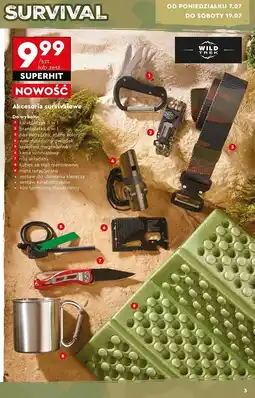 Biedronka Karta survivalowa Wild Trek oferta