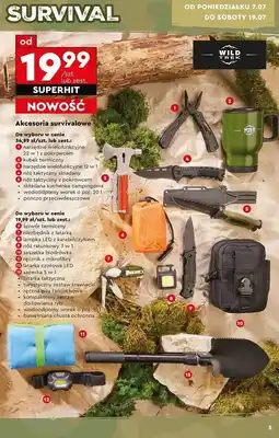 Biedronka Saszetka biodrówka Wild Trek oferta