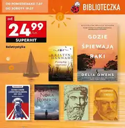 Biedronka Zbigniew lewicki historia stanów zjednoczonych ameryki 1607-2024 oferta