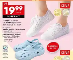 Biedronka Klapki męskie rozm. 42-45 Cleve oferta